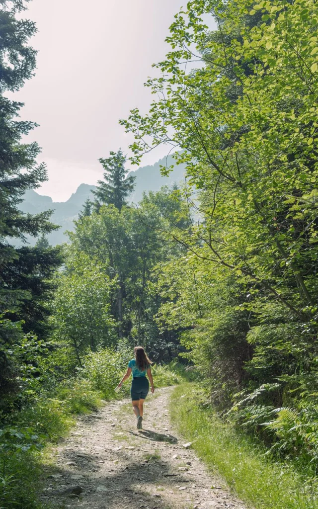 Paysage de randonnée - Cascade De Loursiere - Uriage -Marie El Hajal