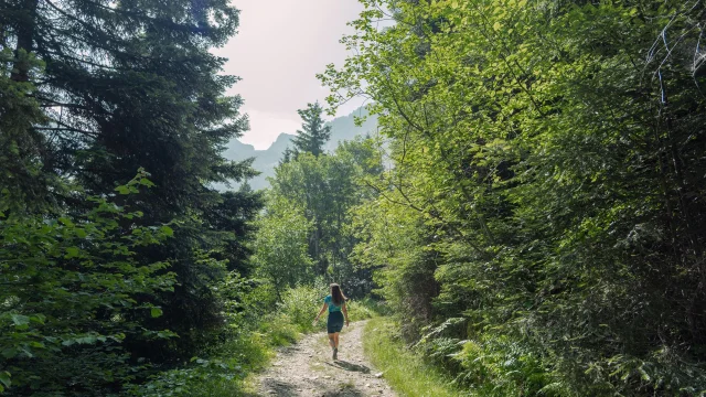 Paysage de randonnée - Cascade De Loursiere - Uriage -Marie El Hajal