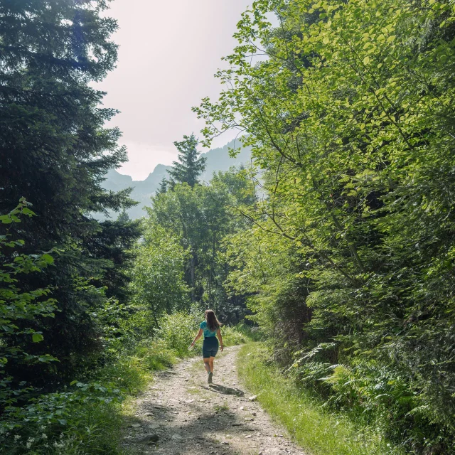 Wandelen door het landschap - Cascade De Loursiere - Uriage -Marie El Hajal