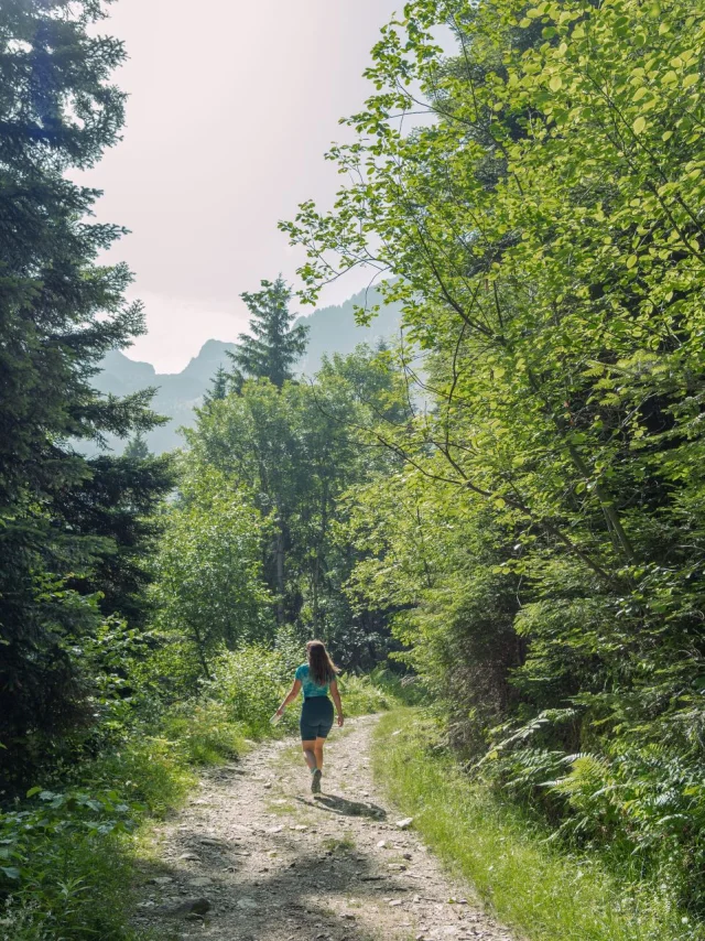 Paysage de randonnée - Cascade De Loursiere - Uriage -Marie El Hajal
