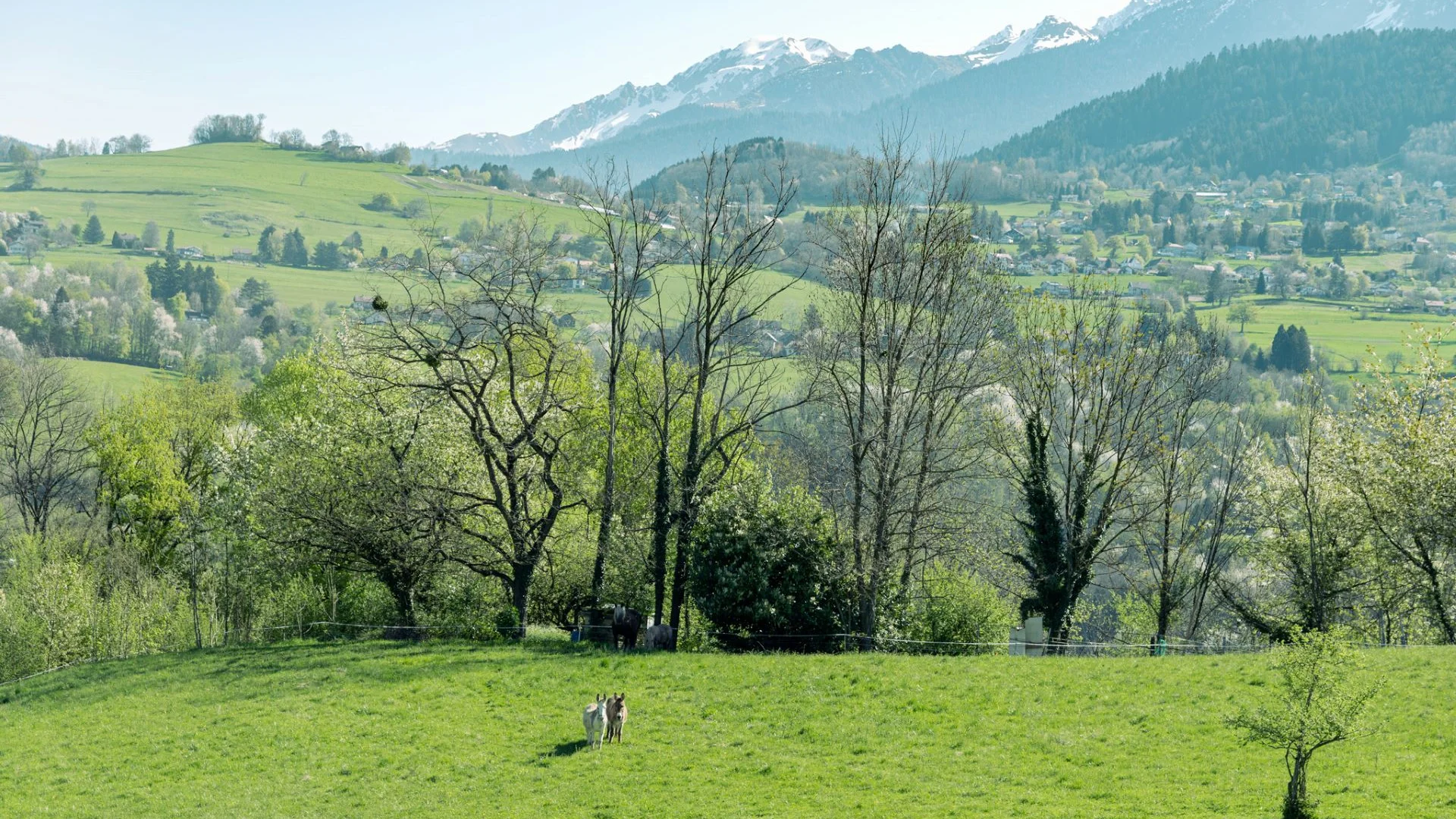 Uriage Randonnée des Crêtes - Marie El Hajal