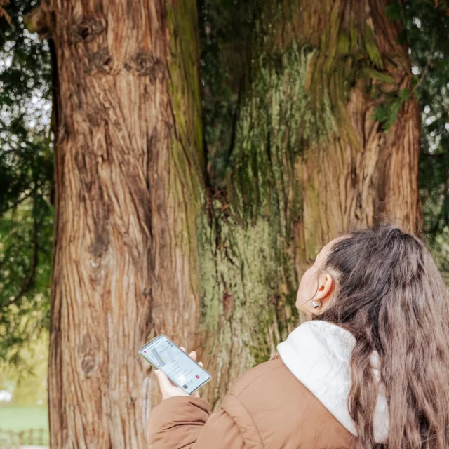 Mobiele toepassing - Bezoek Uriage - Marie El Hajal